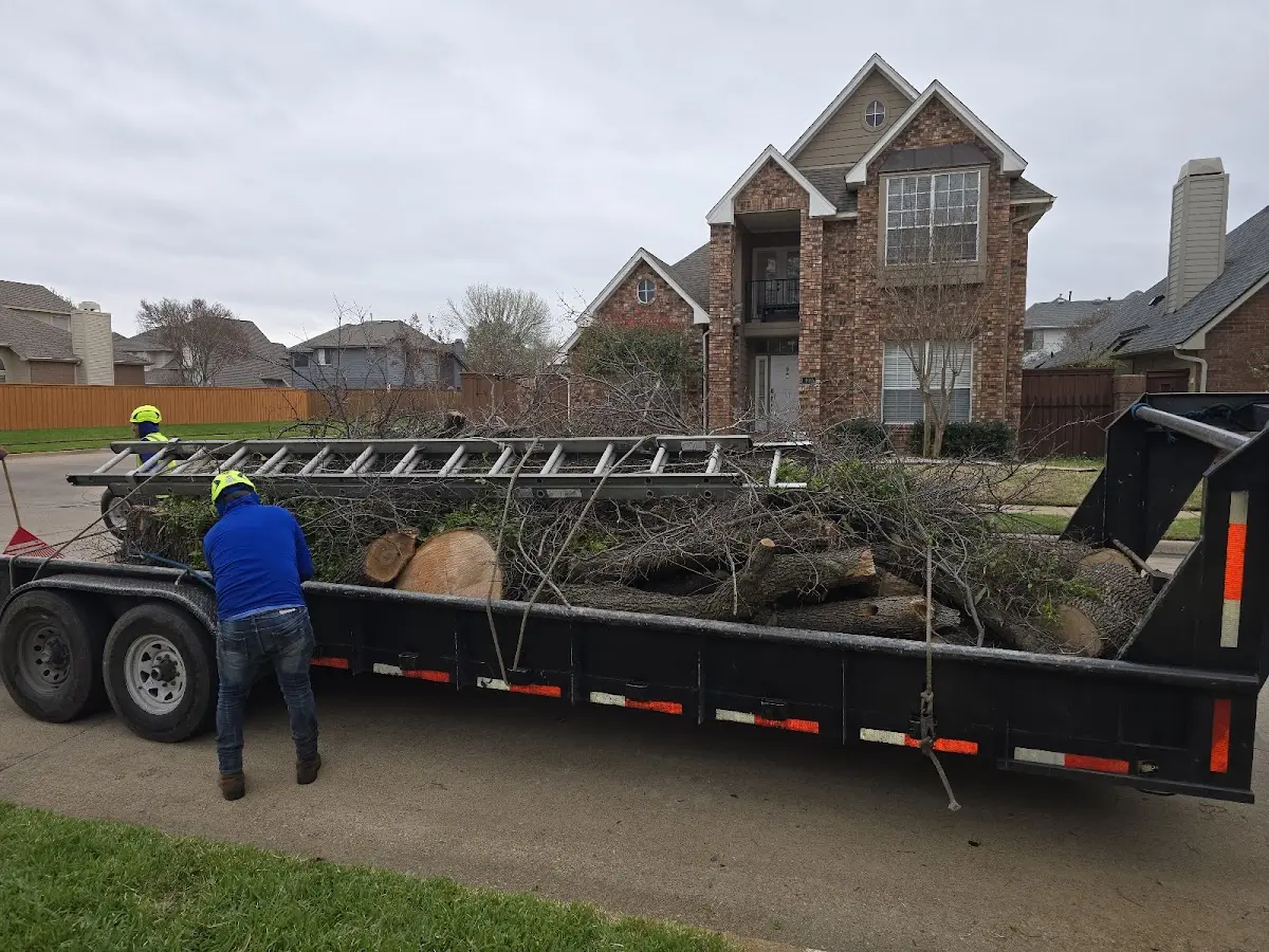 Expert Tree Fertilization with proper safety equipment in Blackfoot
